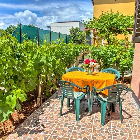 Holiday home Holiday House With A Swimming Pool Fazana - 11396 *